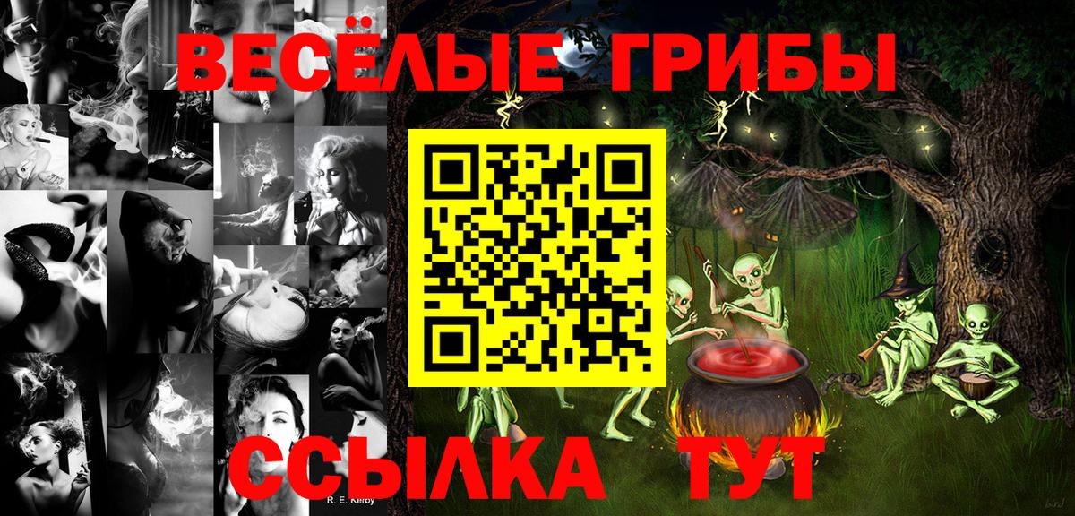Псилоцибиновые грибы Cubensis Геленджик